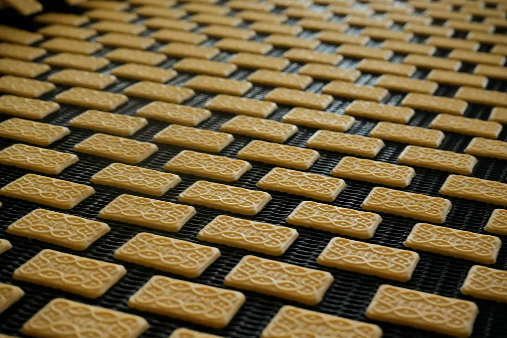 Rows of biscuits moving along a production conveyor